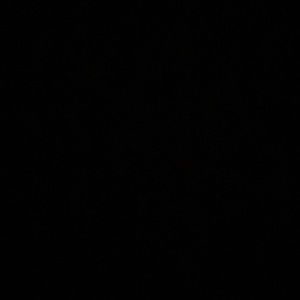 LOOKING FOR: NVGTN PRO SHORTS (Size Medium)